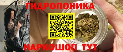 прущие грибы Кунгур