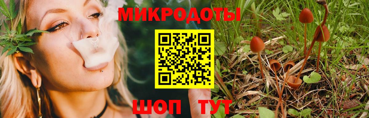 Димитровград  Галлюциногенные грибы мицелий  Вход с VPN 
