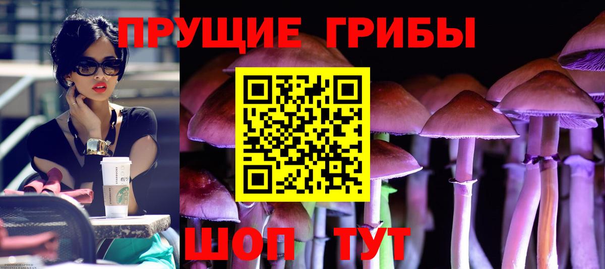 Псилоцибиновые грибы GOLDEN TEACHER Димитровград